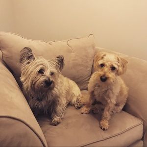 Meet your Posher, Landon